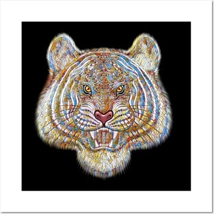 Tiger bengal tiger Siberian Tiger big cat Posters and Art